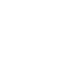 logo de website